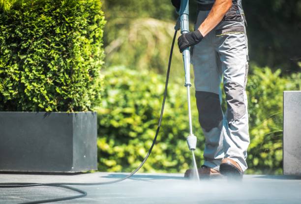 Best Sidewalk and Walkway Cleaning  in Brookville, NY