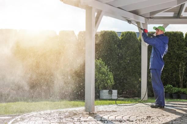 Best Driveway Pressure Washing  in Brookville, NY