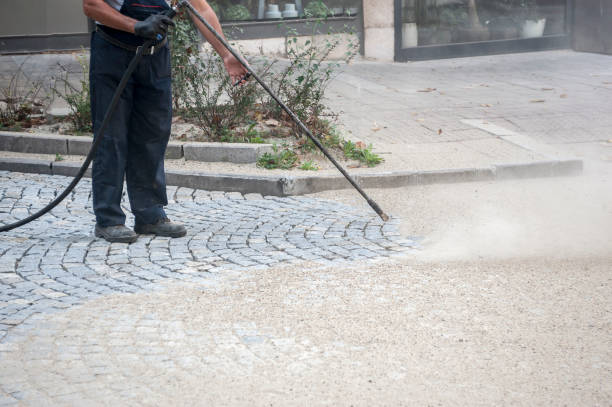 Best Building Exterior Washing  in Brookville, NY