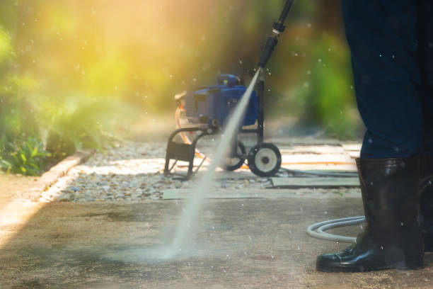 Best Roof Washing  in Brookville, NY